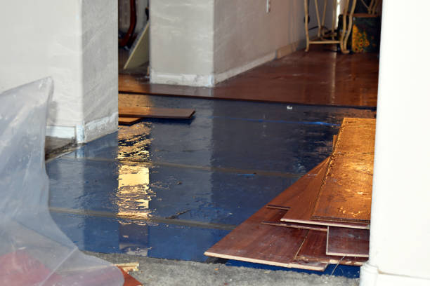 Professional Sewage Cleanup technician working in Ionia, MI